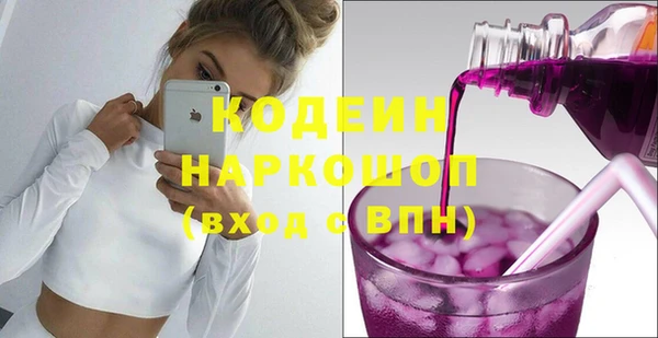 молекула духа Пересвет
