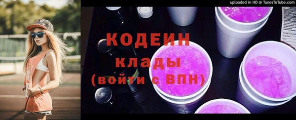 молекула духа Пересвет