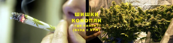 молекула духа Пересвет