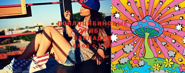 прущие грибы Абдулино